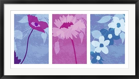 Framed Yoru Boshoku Asa by Kate Knight | 19 3/4 x 39 1/2