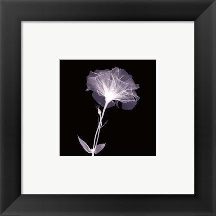 Framed Art Bud in Bloom 6 x 6