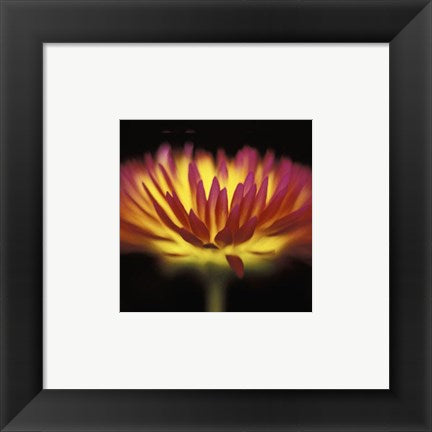Framed Art Sunshine 6 x 6