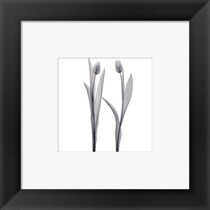 Framed Art Delicate Duo 6 x 6