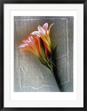 Framed What's Up by Jacquie Boyd | 31 1/2 x 23 1/2