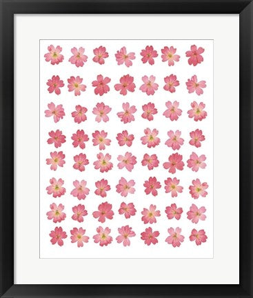 Framed Art Eight Lines of Pink Flowers by Tasmin Phoenix | 19 3/4 x 15 3/4 Art...