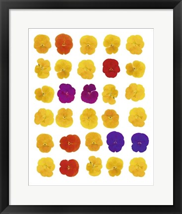 Framed Floral Celebration by Tasmin Phoenix | 19 3/4 x 15 3/4