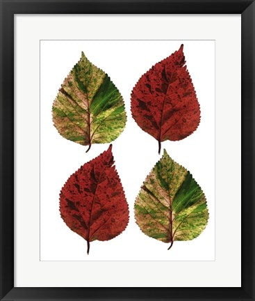 Framed Four Leaves I by Tasmin Phoenix | 19 3/4 x 15 3/4