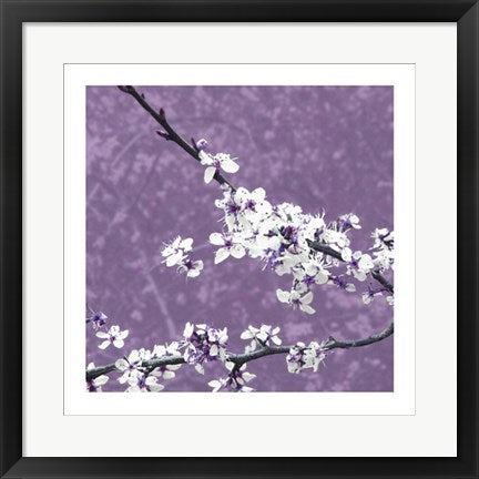 Framed Blossom in Lilac by Gail McKenzie | 19 3/4 x 19 3/4