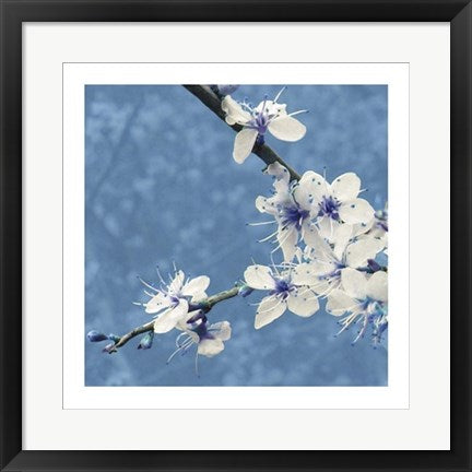 Framed Blossom in Blue by Gail McKenzie | 19 3/4 x 19 3/4
