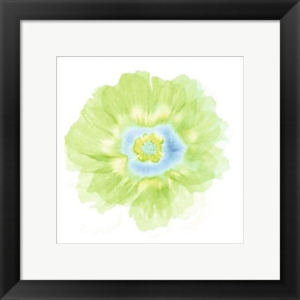 Framed Art Fleur Verte by Robin | 11 3/4 x 11 3/4