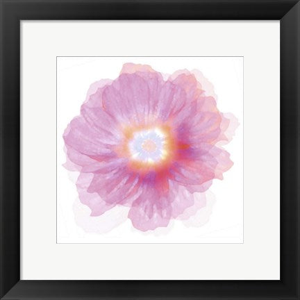 Framed Art Fleur Rose by Robin | 11 3/4 x 11 3/4