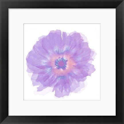Framed Art Fleur Violette by Robin | 11 3/4 x 11 3/4