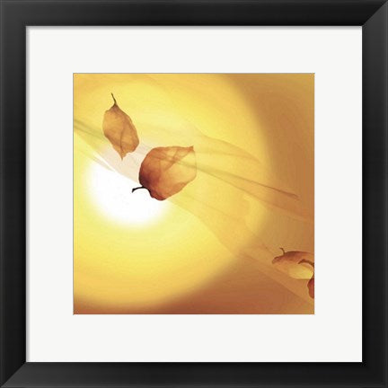 Framed Art Transparence III by Robin | 11 3/4 x 11 3/4
