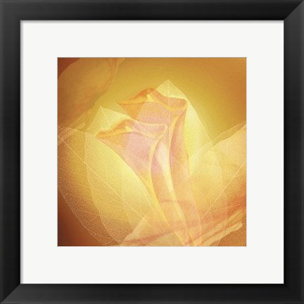 Framed Art Transparence IV by Robin | 11 3/4 x 11 3/4