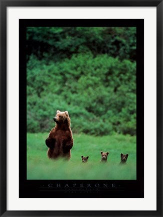 Framed Chaperone by Mark Newman | 34 x 24