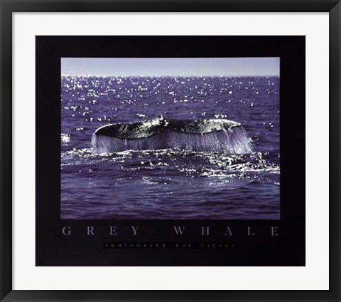 Framed Whale Tale by Bob Talbot | 24 x 28