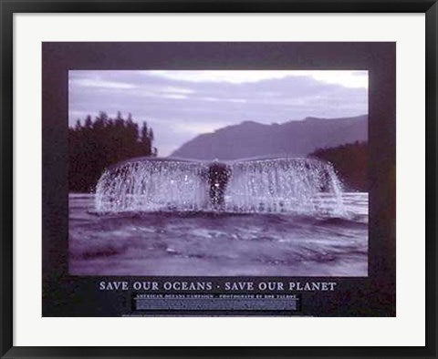Framed Art Save Our Oceans, Save Our Planet by Bob Talbot | 24 x 31
