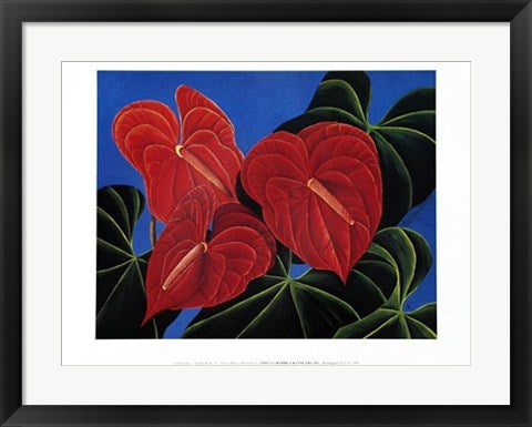Framed Jungle Heart by Sharon Mack | 18 x 24