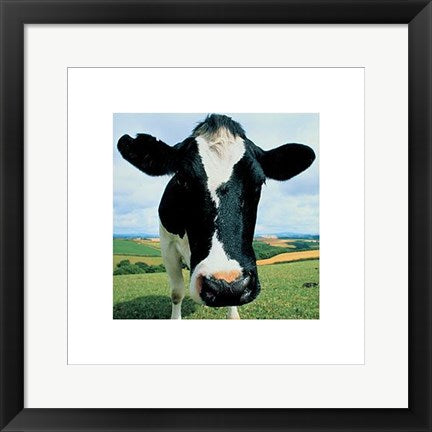 Framed Art Cow by Peter Cade | 15 3/4 x 15 3/4