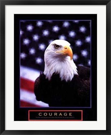 Framed Courage: Eagle & Flag 28 x 22