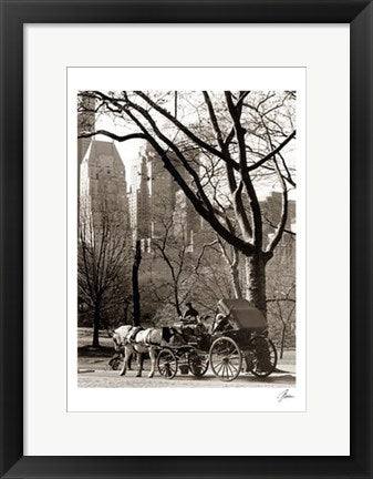 Framed Central Park / Carriage by Igor Maloratsky | 19 x 13
