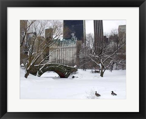 Framed Love Bridge in Central Park, Winter by Igor Maloratsky