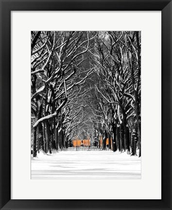Framed The Gates & Tree Path, Central Park by Igor Maloratsky