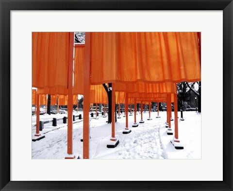 Framed Looking Through the Gates, Central Park by Igor Maloratsky