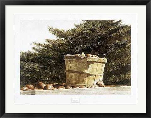 Framed Apple Basket by Douglas Brega | 24 x 32