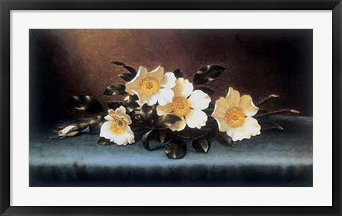 Framed Four Cherokee Roses by Martin Johnson Heade | 24 x 36
