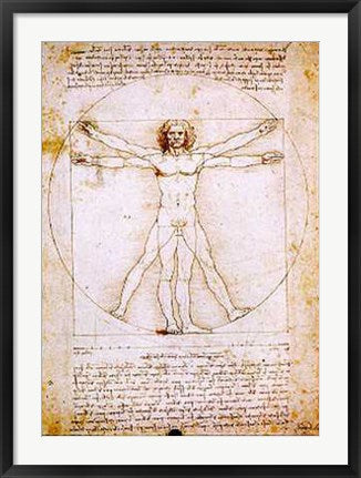 Framed Universal Man by Leonardo da Vinci | 31 1/2 x 23 5/8