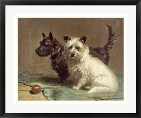 Framed Scotty and Khaki by Margaret Collyer | 25 x 29