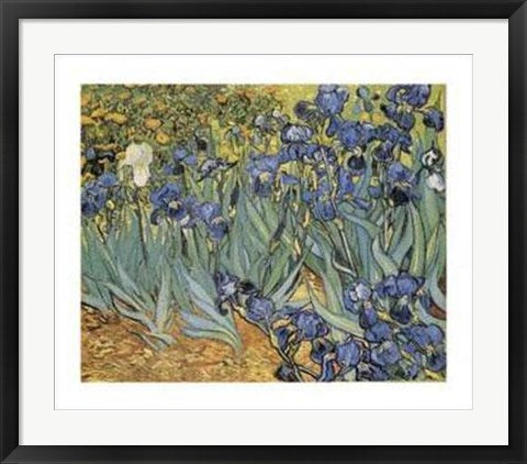 Framed Garden of Irises by Vincent van Gogh | 22 x 28