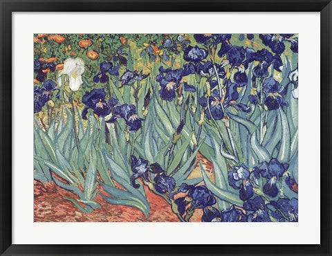 Framed Art Irises, Saint-Remy, c.1889 by Vincent Van Gogh Wall Decor 18x24 Artwork