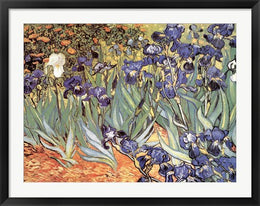 Irises in the Garden, Saint-Remy, c.1889 by Vincent Van Gogh