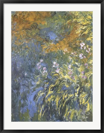 Framed Art Yellow Iris by Claude Monet Wall Decor 18x24 Artwork