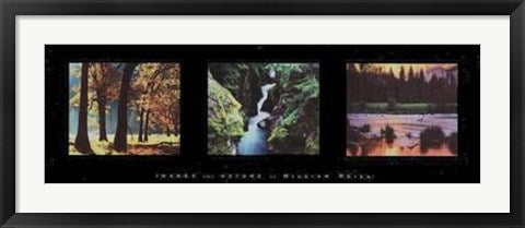 Framed Images From Nature II by William Neill | 12 x 36