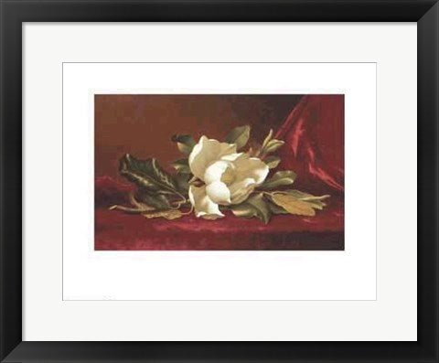 Framed Art The Magnolia Flower by Martin Johnson Heade | 13 3/4 x 18