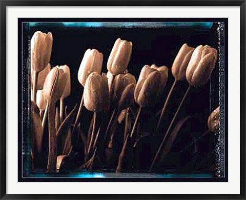 Framed Tulips by Talli Rosner-Kozuch | 34 x 43 1/2