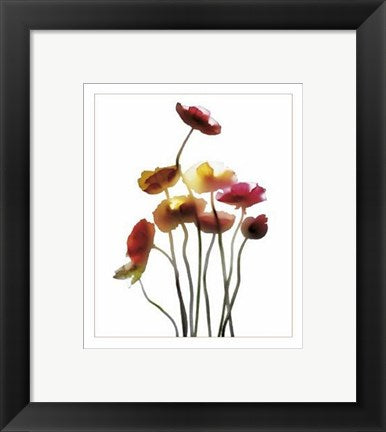 Framed Art Poppies by Anna Halm-Schudel | 11 3/4 x 9 1/2