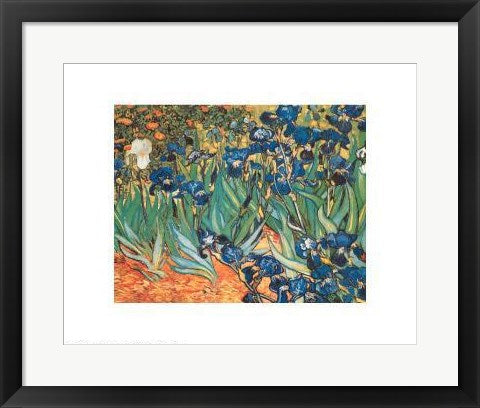 Framed Iris Garden by Vincent van Gogh | 16 x 20
