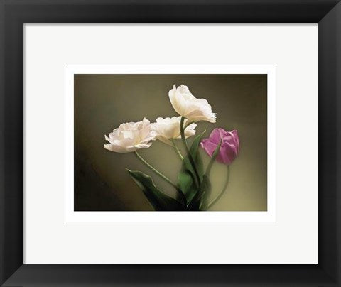 Framed Art Tulips by Don Mason | 9 1/2 x 11 3/4