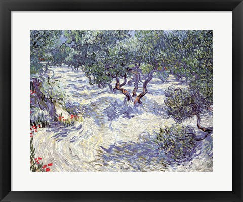 Olive Orchard by Vincent Van Gogh