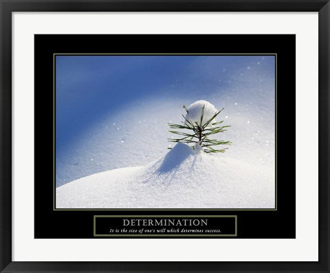 Framed Art Determination - Little Pine Wall Decor 18x24 Artwork