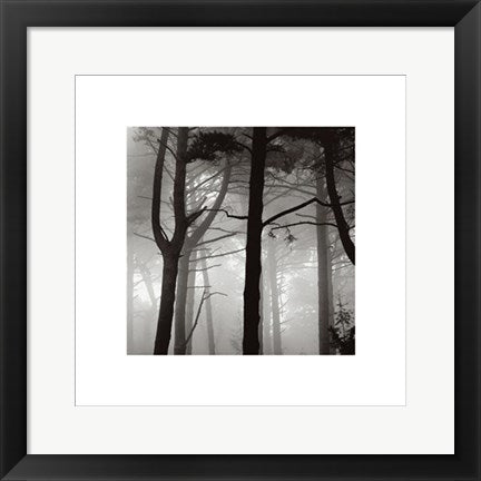 Framed Forest I by Nicholas Pavloff | 15 ¾ x 15 ¾