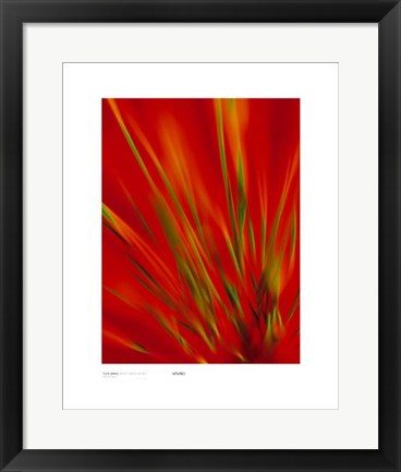 Framed Flexi Grass, Bright Green on Red by Michael Banks | 19 3/4 x 15 3/4...