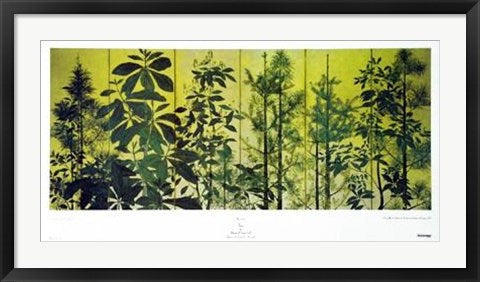 Framed Trees (Early Edo Period 17th Century Japan) 