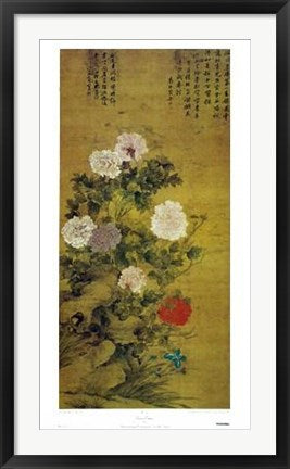 Framed Chinese Peonies (Ch'ing Dynasty 17-18th Century) 