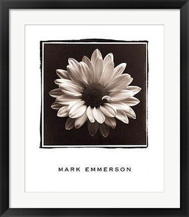 Framed Mary Ann (Daisy), Bermuda by Mark Emmerson | 24 x 20