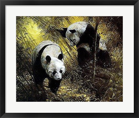 Framed Panda Pair by Spencer Hodge | 20 x 24