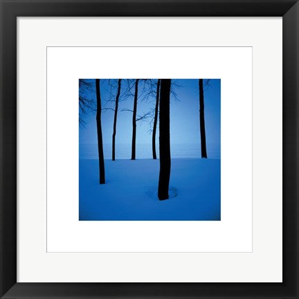 Framed Trees in Snow by Ted Wood | 15 3/4 x 15 3/4