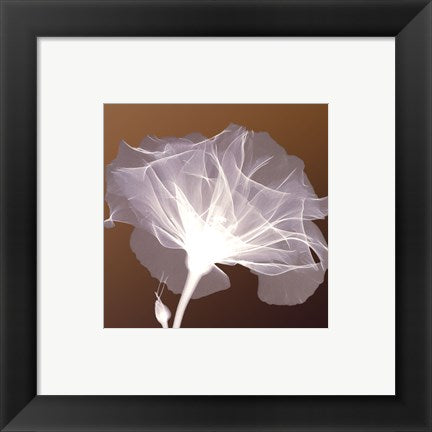 Framed Art Awaiting Bloom 8 x 8