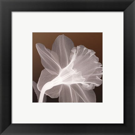 Framed Art Ruffled Elegance 8 x 8